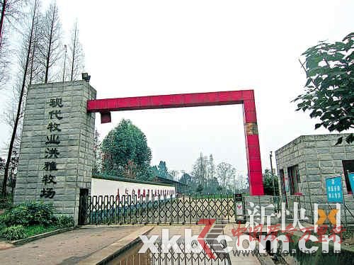 現(xiàn)代牧場也被業(yè)內(nèi)視為“問題奶”最可疑的來源之一。(圖片來源:新快報)