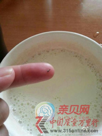 美贊臣安嬰媽媽奶粉喝出死螞蟻 回稱(chēng)沒(méi)法解決(親貝網(wǎng)配圖)